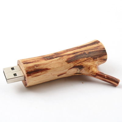Корень дерева формирует деревянный логотип привода 256GB USB внезапный выбивая