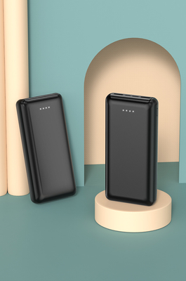 Портативный энергобанк с портами ввода Micro USB и Type C для смартфонов