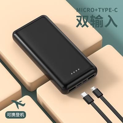 Портативный энергобанк с портами ввода Micro USB и Type C для смартфонов