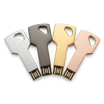 USB-накопитель с ключом из цинкового сплава с возможностью шифрования, индивидуальный дизайн, прочное безопасное устройство хранения данных, идеально подходящее для бизнеса
