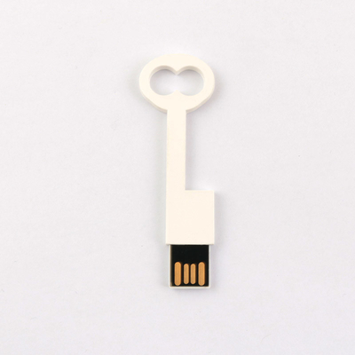 Соответствует привод 2,0 64GB 128GB 50MB/S USB стандартного пластикового ключа Европы внезапный